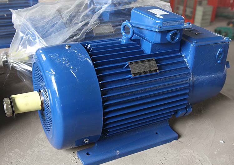 Crane motor
