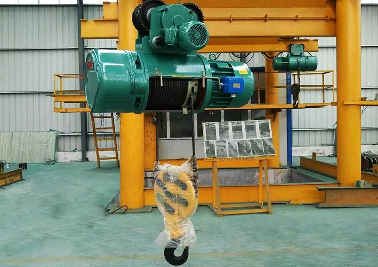 Wire rope electric hoist