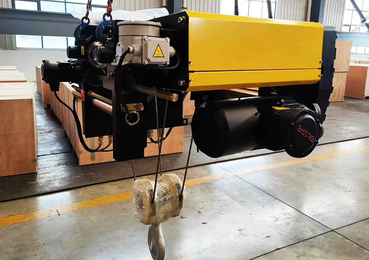 FEM standard hoist