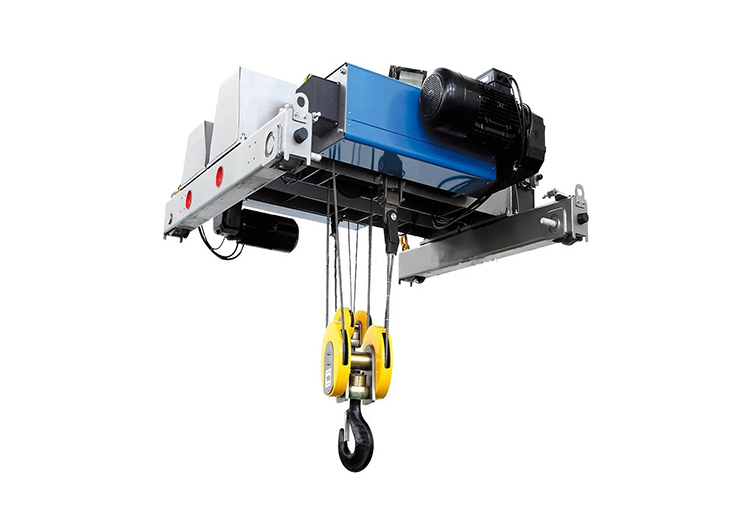 FEM standard hoist