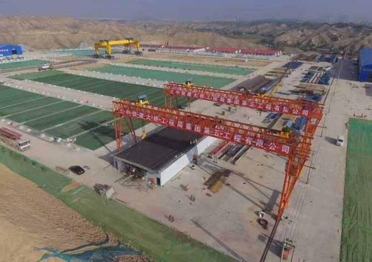 Engineering gantry crane