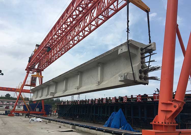 Engineering gantry crane